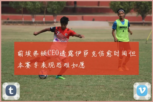 前埃弗顿CEO透露伊萨克伤愈时间但本赛季表现恐难如愿